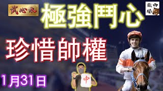 新【武心水】極強鬥心 珍惜帥權｜沙田日馬  | 心水  | 31/01/2025 ｜All IN!