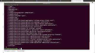Accessing the Kubernetes API with kubectl