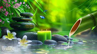 Relaxing Piano Music + Insomnia and Healing 🌿 Relaxing Music, Sleep Music, Meditation, Nature Sound