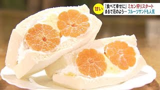 「食べて幸せに」ミカン狩りスタート　まるで花のよう！フルーツサンドも人気