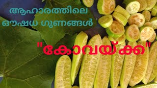 Ivy gourd | കോവയ്ക്ക കഴിച്ചാലുള്ള ഗുണങ്ങൾ