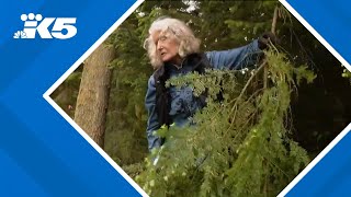 How Washington residents are preparing their homes for wildfire season