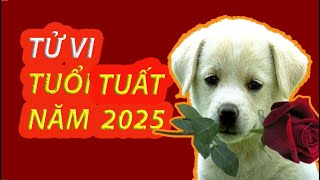 Tử vi tuổi Tuất năm 2025 diễn tiến tốt hay xấu