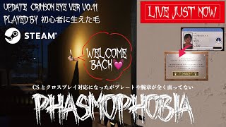 【 #Phasmophobia / #ファスモフォビア 】義務サニメドへと逝く…寝落ち睡眠導入初心者フォビア幽霊調査62[概要欄確認] #shorts