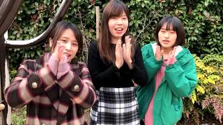 Playtube Pk Ultimate Video Sharing Website