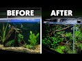 Aquascaping 🌿 9 Simple Techniques For Your First Planted Aquarium