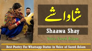 Poetry Shaawa Shay Saeed Aslam | Punjabi Shayari Whatsapp Status 2020
