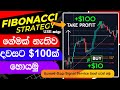 Earn $100 PER DAY Trading very easy fibonacci retracement method | How to start SIGNAL SERVICE