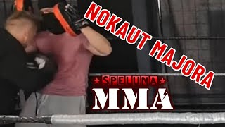 MAJOR NOKAUTUJE TRENERA W SPELUNA MMA