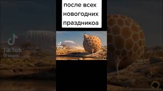 перезалив с тик тока #shorts #tiktok #перезалив #рекомендации #recomended #мемы #ржака #меи