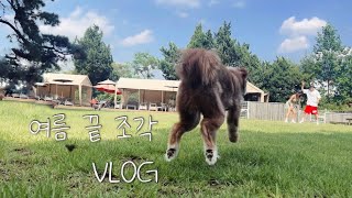 [윤지성VLOG] V룽V룽 #04 서울의 여름 / 여름 끝 조각 / 드라이브 / 강아지 운동장 / 남매 브이로그 / 라볶이 곱창 막국수 때려넣기