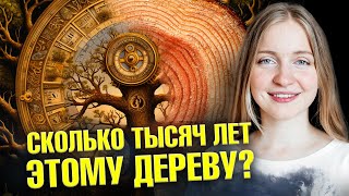 Сколько лет этому артефакту? Секреты дендрохронологии | Ученые против мифов 21-17