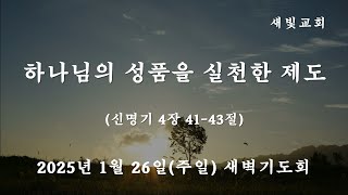 [새빛교회 새벽기도회] 하나님의 성품을 실천한 제도 │ 신명기 4장 41-43절 │ 김지형 부목사 │ 2025년 1월 26일