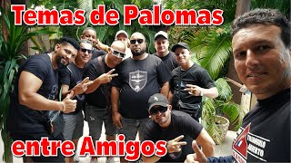 Temas de Palomas entre Amigos. 1