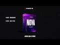 Hits Maker Pro - NOVA - Serum presets and sample pack