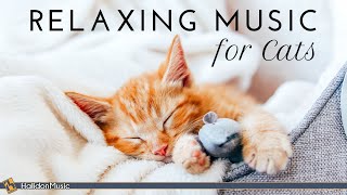 Relaxing Classical Music for Cats