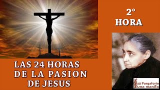 SEGUNDA (2) HORA DE LAS 24 HORAS DE LA PASION DE JESUS, AYUDA ALMAS DEL PURGATORIO, SANA TU VIDA