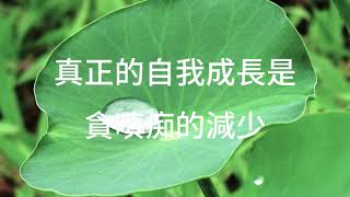 真正的自我成長是貪嗔癡的減少 | 阿贊耀答問 2024-04-27（普通話）