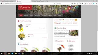 Building An ECommerce Store Using CodeIgniter Framework - Part 7 - Checkout