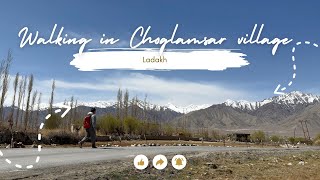 Walking in Choglamsar Village Ladakh ／北インド・ラダック・チョグラムサル・ビレッジ・ウォーク