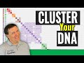 Cluster Your DNA Matches | GEDmatch TUTORIAL  Genetic Genealogy