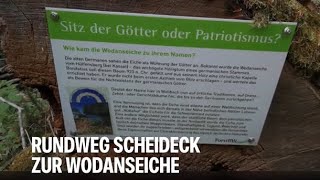 Rundweg Scheideck zur Wodanseiche