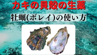 生薬の牡蠣(ぼれい)の使い方！！【中中研の切り抜き】