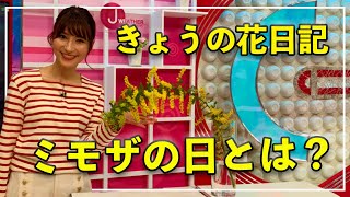 ミモザの日とは？「きょうの花日記」2021年2月24日放送