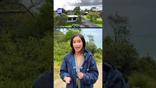 Community fears as crisis accomodation is slated for demolition | 9 News Australia