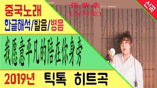 [Chinese song / 중국노래] 我愿意平凡的陪在你身旁 (평범하게 네 곁에 있고 싶어) 王七七 (봉황전기) /가사/해석/한글발음/병음 /拼音/Lyrics