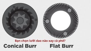 Lưỡi dao máy xay dạng conical và flat burr