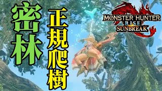 《魔物獵人崛起：破曉》密林爬樹！雙翔蟲密林正規上樹