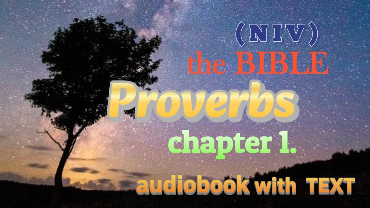 Audio Bible Proverbs Chapter 1 With Text Niv Youtube