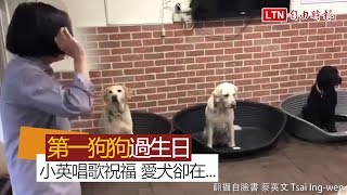 【生日片】小英唱生日快樂歌 3隻愛犬卻只想著...(翻攝自臉書 蔡英文 Tsai Ing-wen)