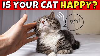 10 Subtle Signs Your Cat Is VERY Happy 😺