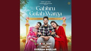 Gabru Gulab warga song (New Punjabi song)