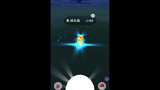 Pokémon 色違綠毛蟲❤ 金色綠毛蟲 小烈空坐 | 【寶可夢 GO】《龍仔TV》