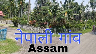 नेपाली गांव देखिए।Assam Nepali Gaon