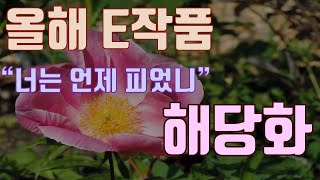 [올해 E작품]_현대시 해당화(한용운) 9등급도 할 수 있는 작품 분석 / 2022 EBS 수능특강