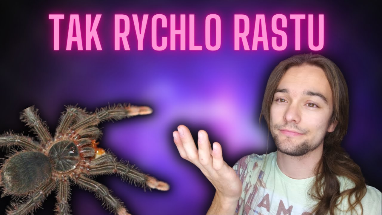 Feeding Time Youtube