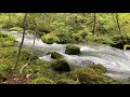 oirase gorge mountain stream aomori japan