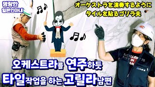 オーケストラ🎶を演奏するようにタイルを貼るゴリラ夫🦍🎶ほがらかな日本人妻【日韓夫婦】