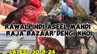 Rawalpindi raja bazar aseel murga mandi | raja bazaar dingi khoi | latest update 30 - 4 - 2024