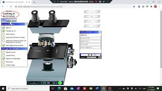 Guide to Use the Compound Light Microscope in Virtual Lab