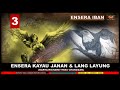 ensera kayau janan enggau lang layung part 3