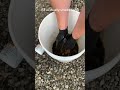 Cleaning Used Engine oil out of a Foam Filter!?🤯 this stuff is the real deal!