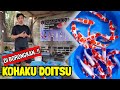 Full KOHAKU DOITSU, Di Borongkan untuk para seller 🥰‼️