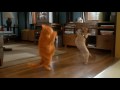 Garfield Hey Mama Dance