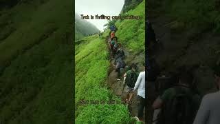 Peb fort trek | Easy 1 day trek near Mumbai | Easy trek near Mumbai and Pune | Best monsoon trek |