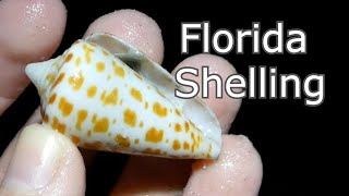 Let's go Shelling! Low Tide Nighttime Beachcombing on Sanibel Island!